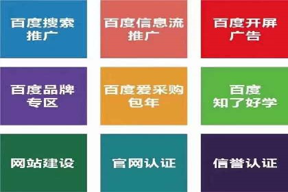 案例分析：SEM优化助力电商销量增长